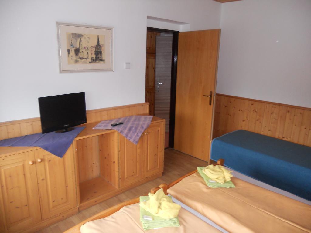 Penzion Kamzik Ceska Kamenice Exterior photo