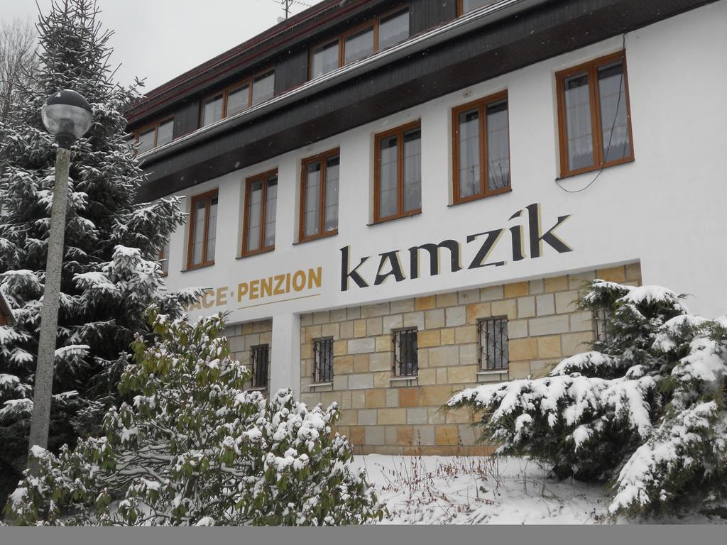 Penzion Kamzik Ceska Kamenice Exterior photo